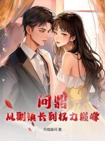 问鼎：从副镇长到权力巅峰